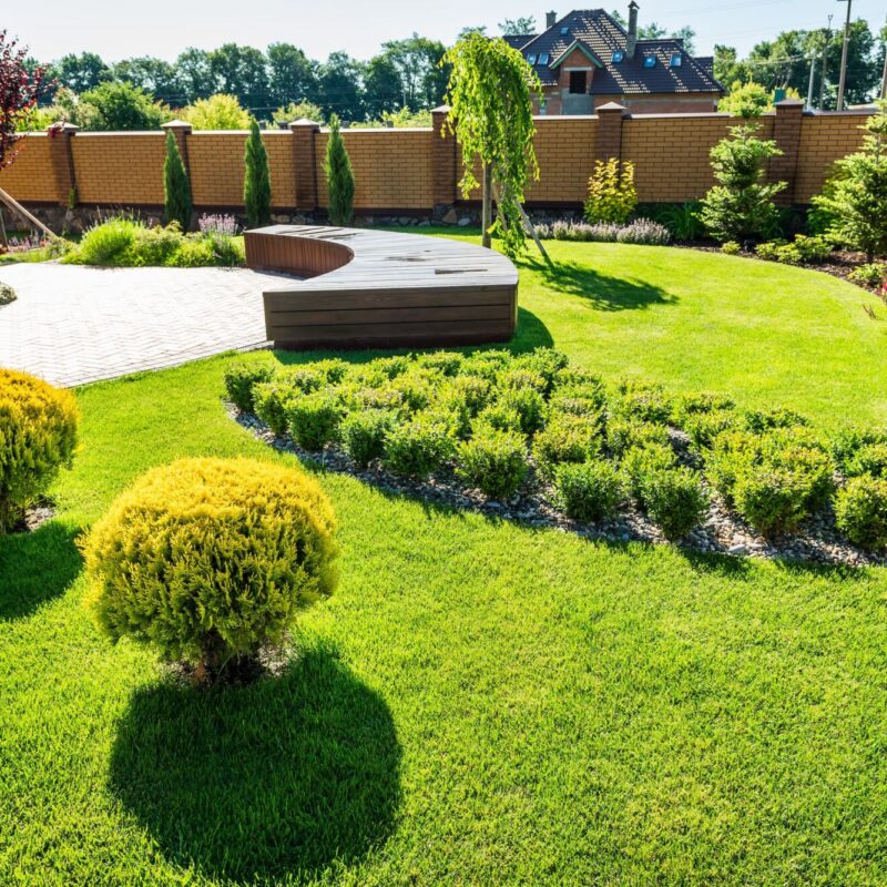 3 plantes r&eacute;pulsives naturelles contre les moustiques pour un &eacute;t&eacute; serein au jardin Colmar